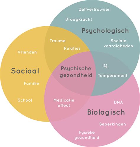 Psychologische Aspecten Van Haartransplantatie